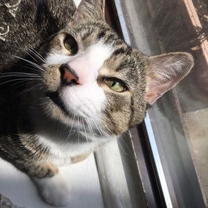 Meet your Posher, Ilma